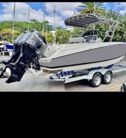 Island Fishing Rodrigues Co Ltd